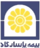 https://pasargadinsurance.ir/